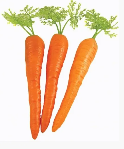 Artificial Carrots