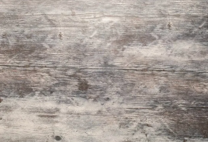 Weathered White Painted Wood Background 2