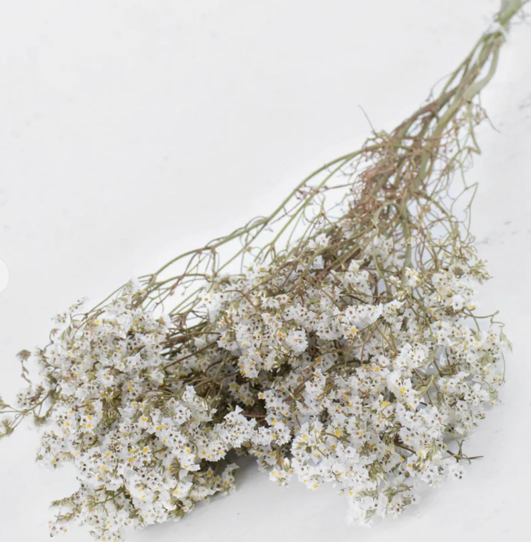 Limonium Sinensis, Dried, Natural White