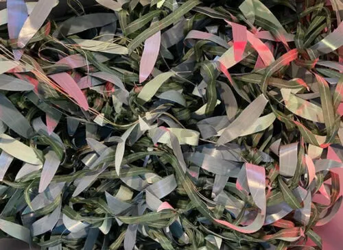 Box of Eucalyptus Style Ribbon