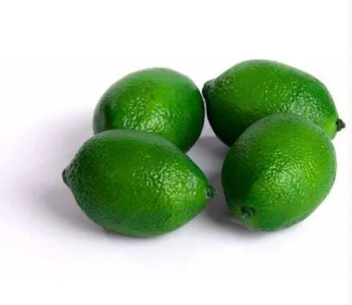 Artificial Limes