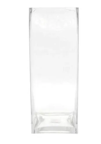 Glass Rectangular Vase