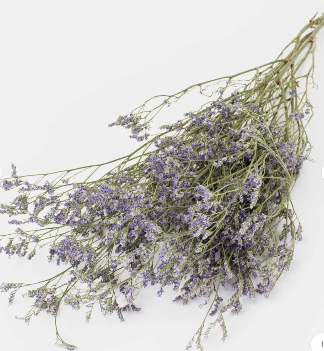 Limonium, Dried, Natural Purple