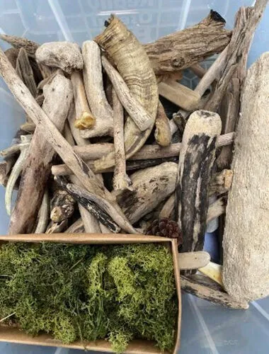 Box of Wood/Moss
