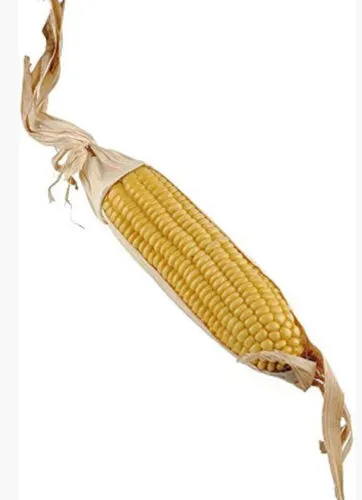 Artificial Corn
