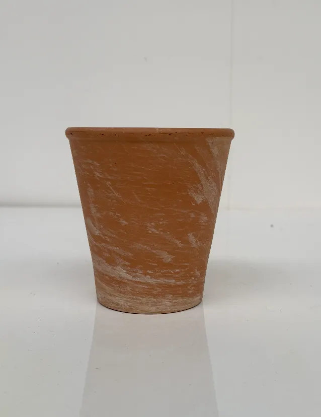 White-washed Terracotta Plant Pot