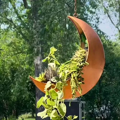 Crescent Moon Succulent Planter
