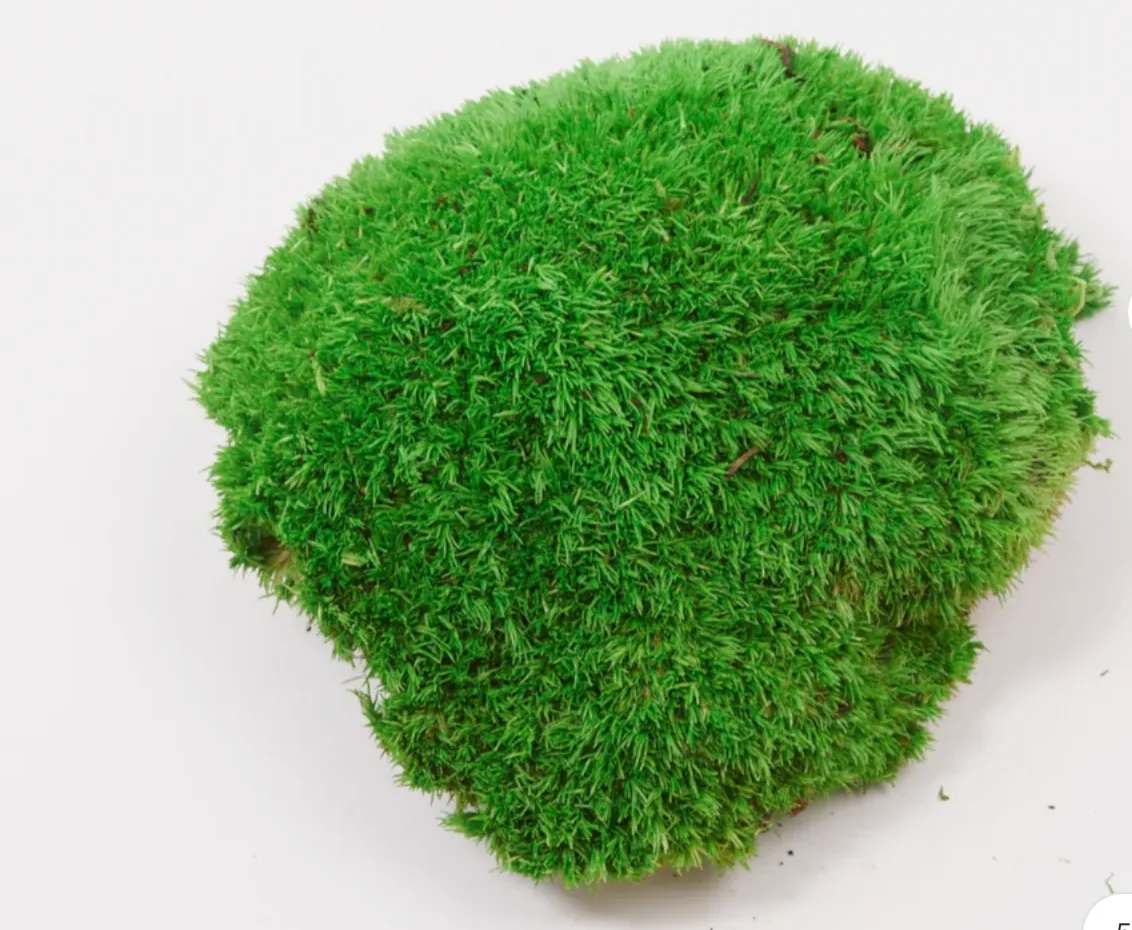 Green Preserved Moss Ball