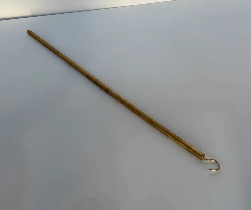 Gold Carnival Rod
