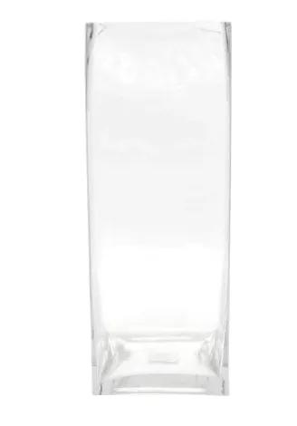 Glass Rectangular Vase