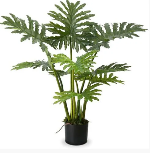 Artificial Philodendron Plant