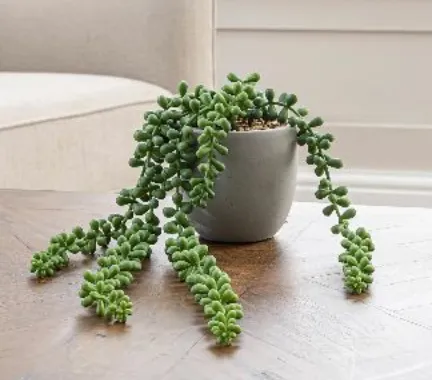 Artificial String of Pearls