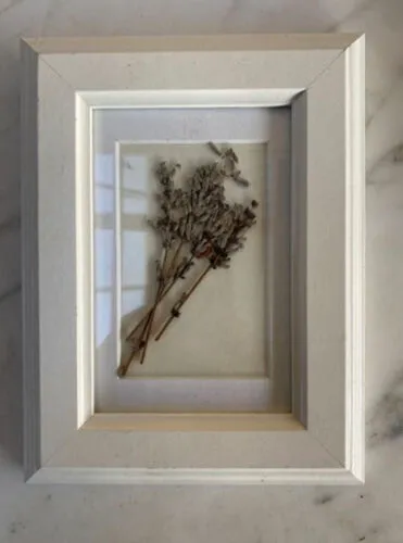 Cream Frame (6 x 4, Dried Lavender)