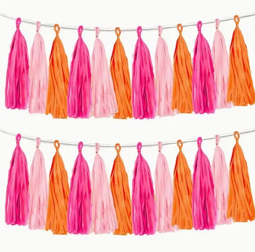 Pink and Orange Tassel Garland Banners