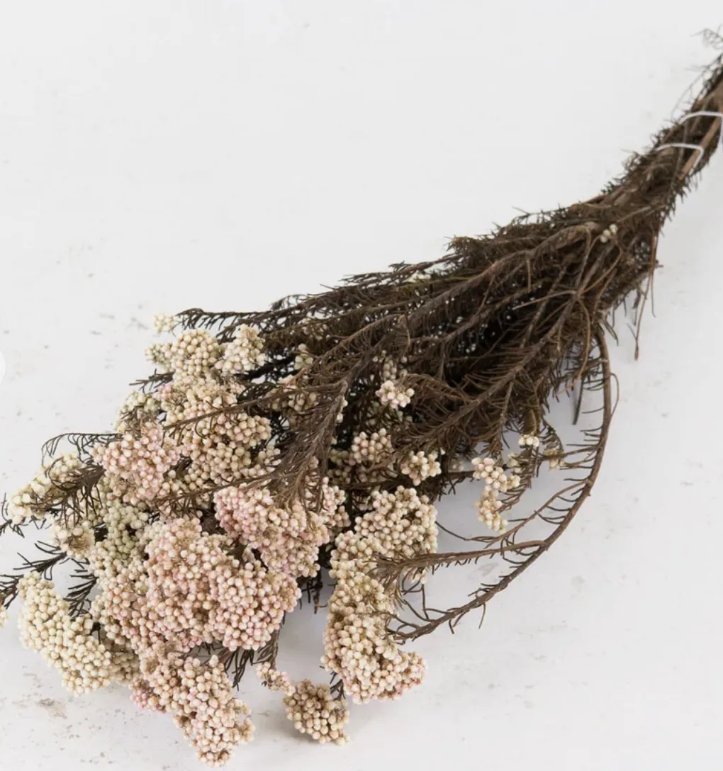 Preserved Diosmi 