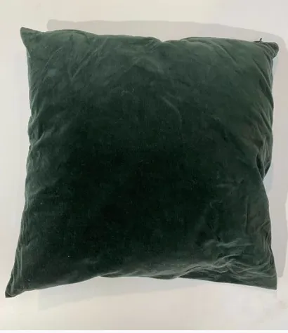 Green Velvet Cushions