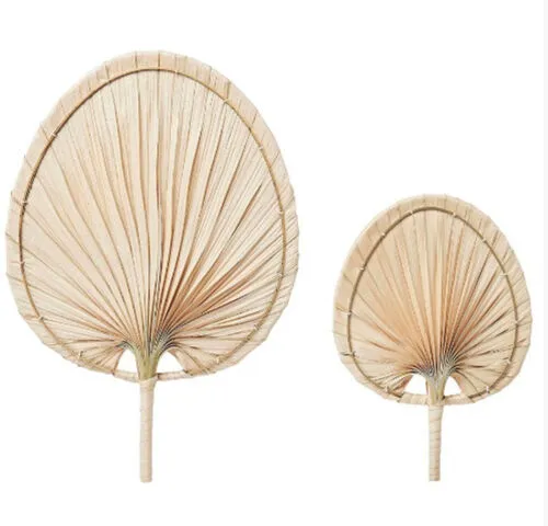 Palm Leaf Fans
