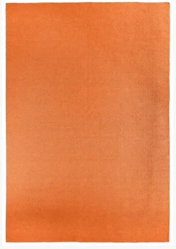 Small Orange Rug