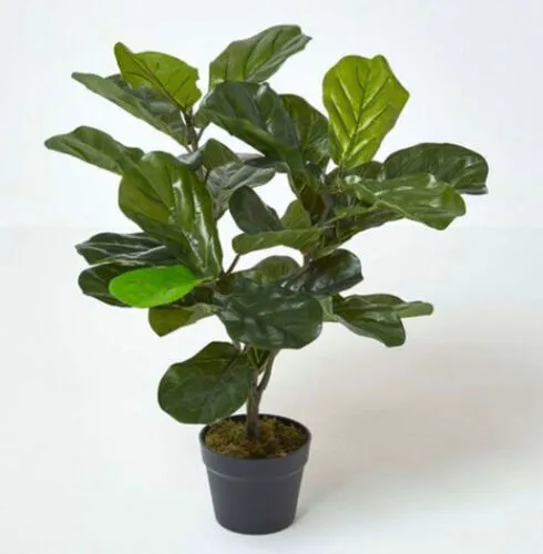 Artificial Fiddle Leaf Fig Tree in Pot, 70cm