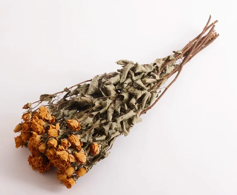 Dried Roses, Natural Yellow, bunch