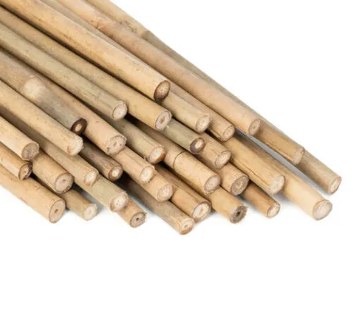 Bamboo Sticks