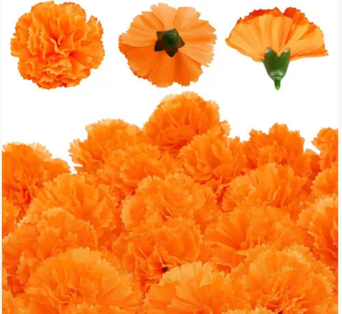 Marigold Flowers