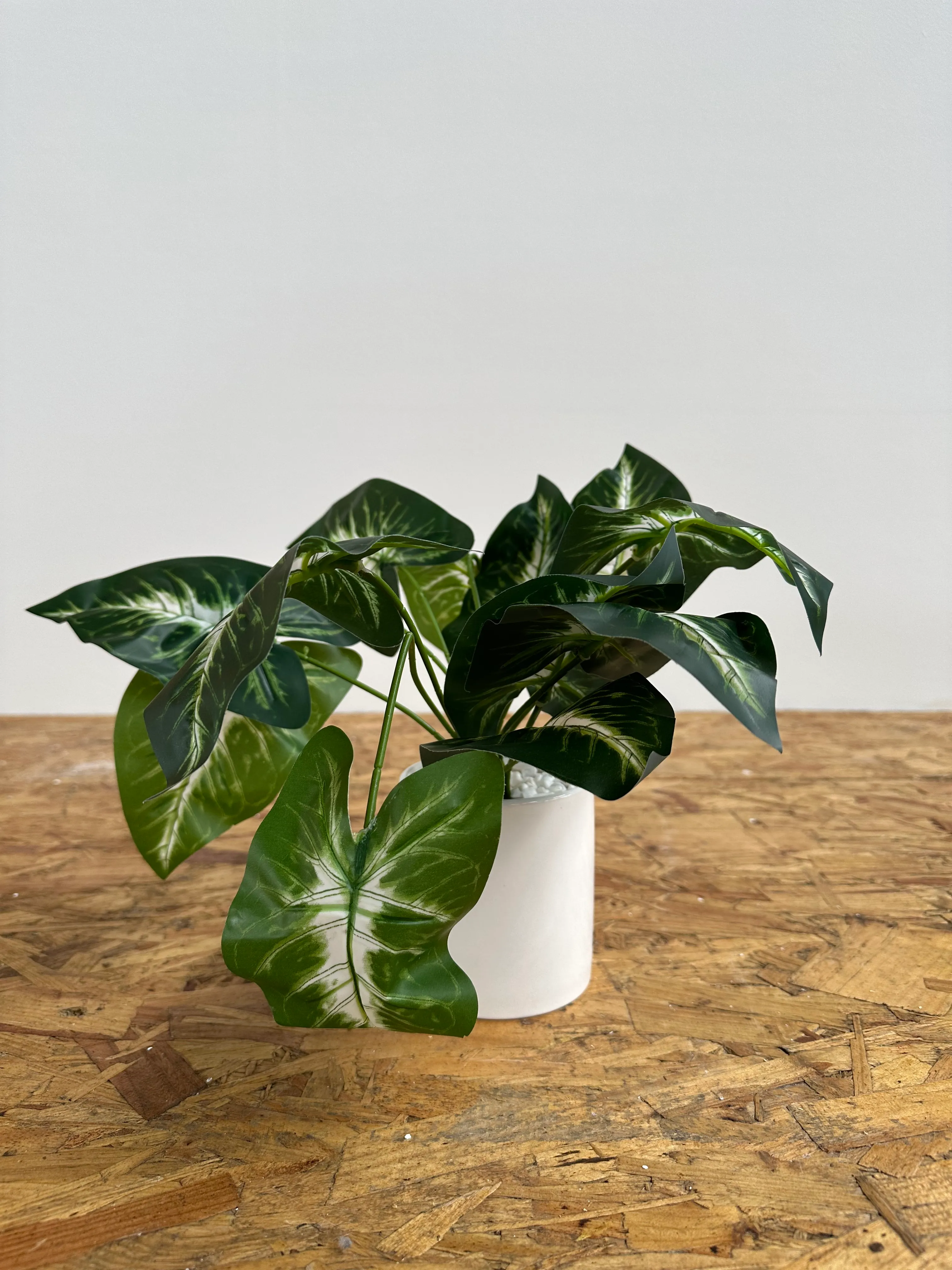 Artificial Syngonium