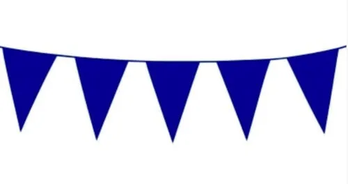 Blue Bunting