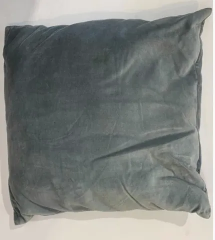 Light Grey Velvet Cushions