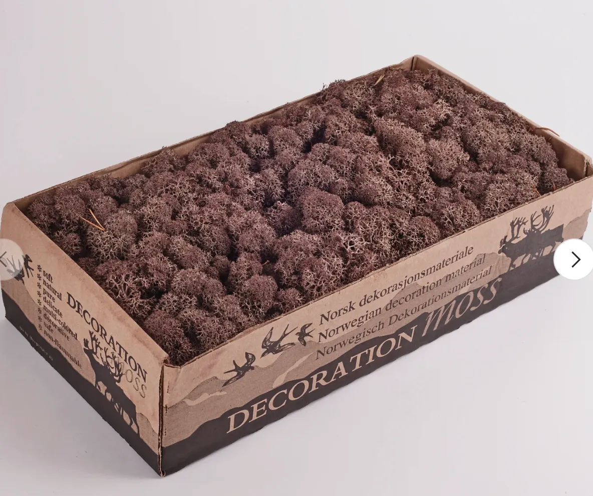 Preserved Reindeer Moss 425g