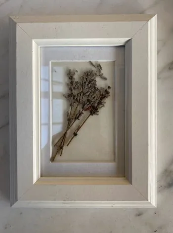 Cream Frame (6 x 4, Dried Lavender)