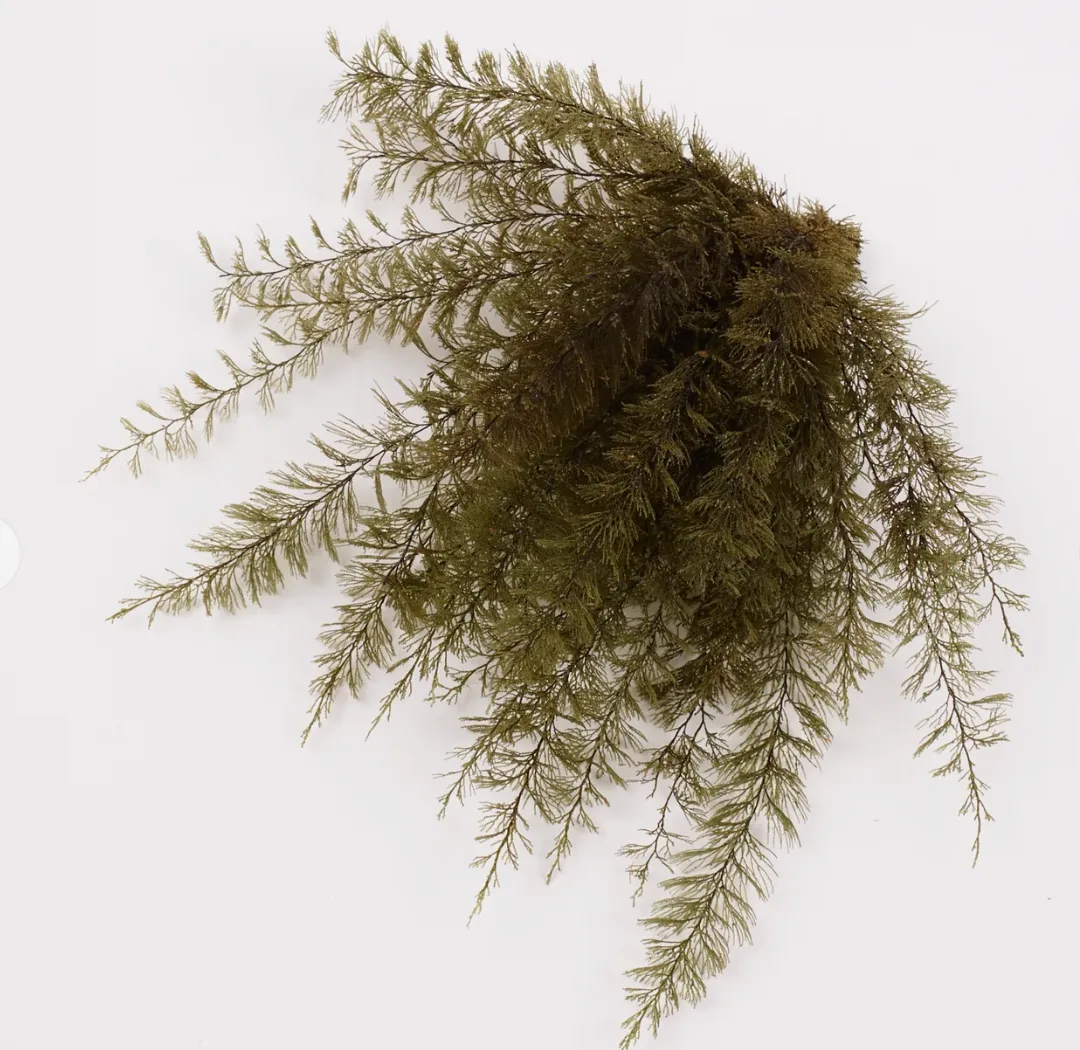 Air Fern Preserved, Dark Green