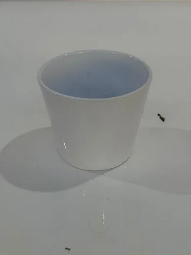 White Ceramic Plant Pot (10cm)