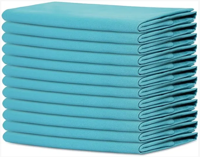 Light Blue Fabric Napkins