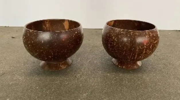 Coconut Bowls