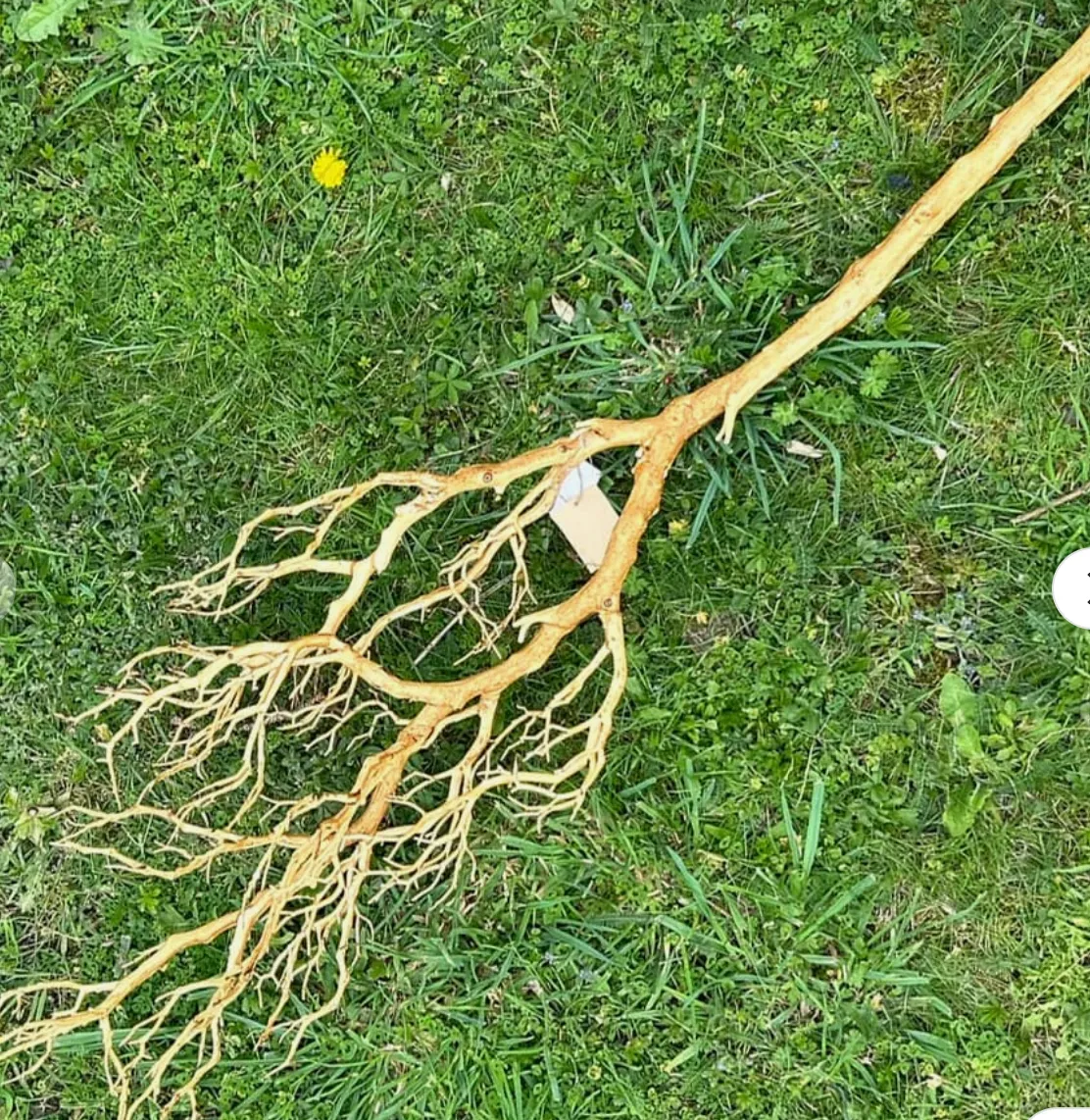 Artificial Deadwood Branch 105cm