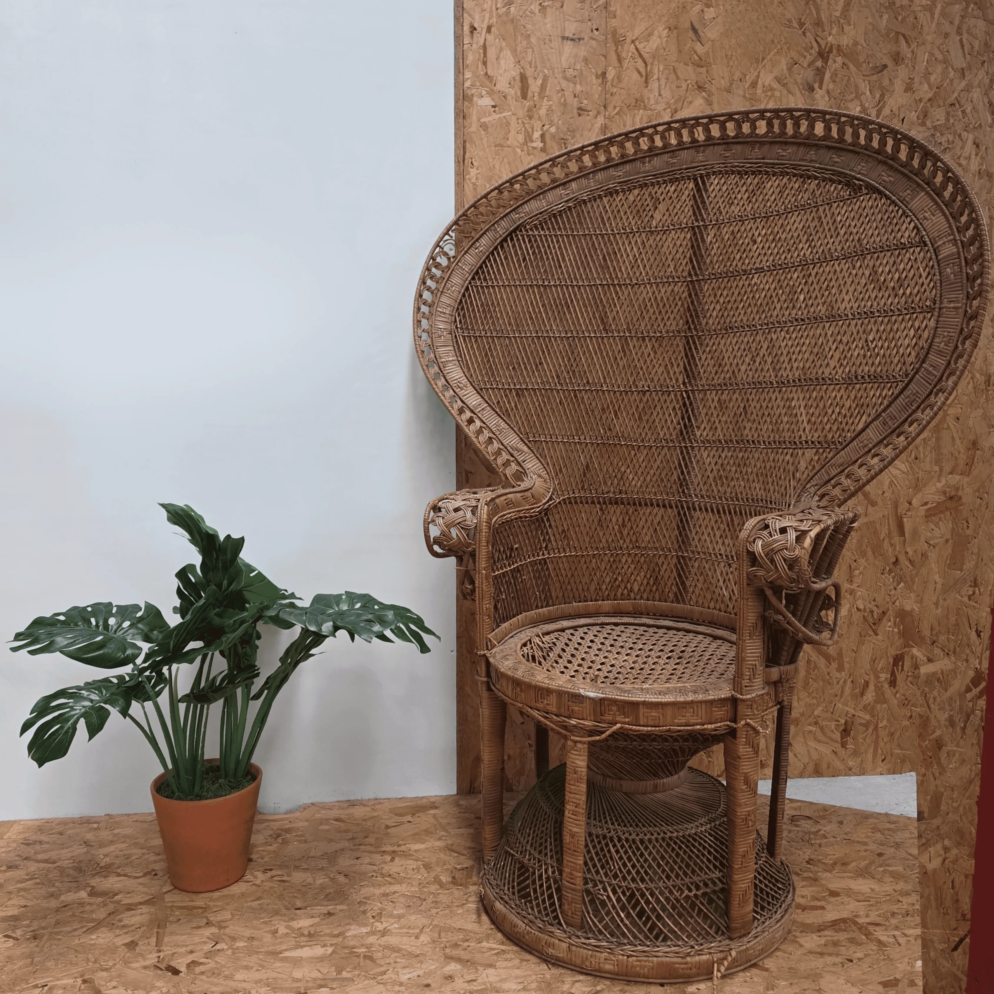 Large Rattan Peacock Chair