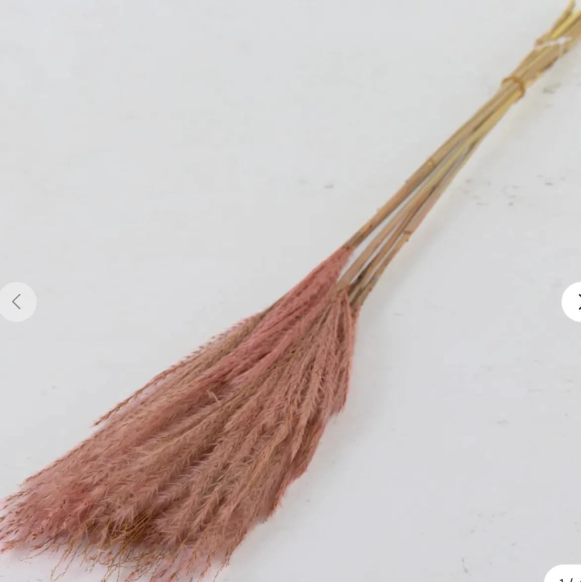 Dried Fluffy Pink Grass