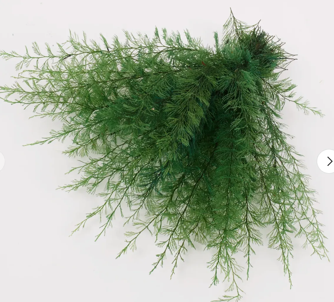Air Fern, Preserved, Green