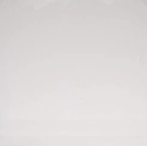 White / Oak Wooden Background (Double Sided)