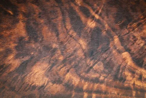 Exotic Hard Wood Background