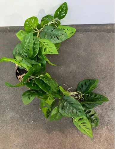 Artificial Monstera