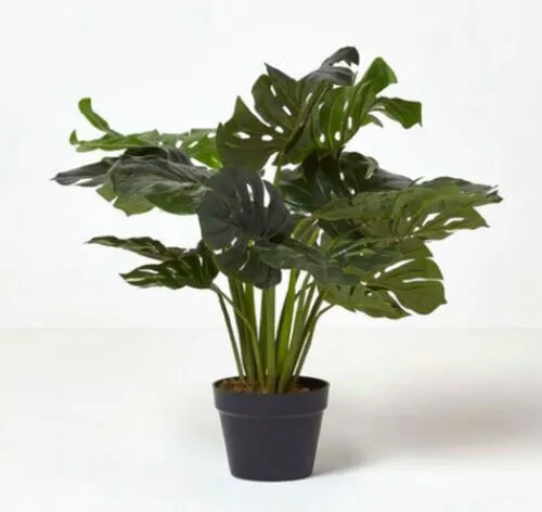Artificial Monstera Plant