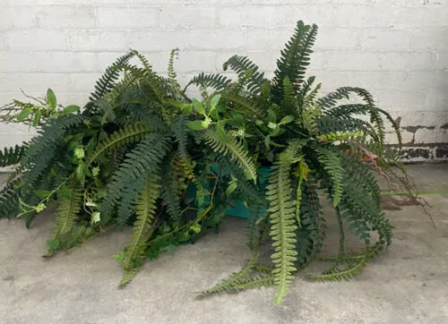 Long Planter of Artificial Foliage