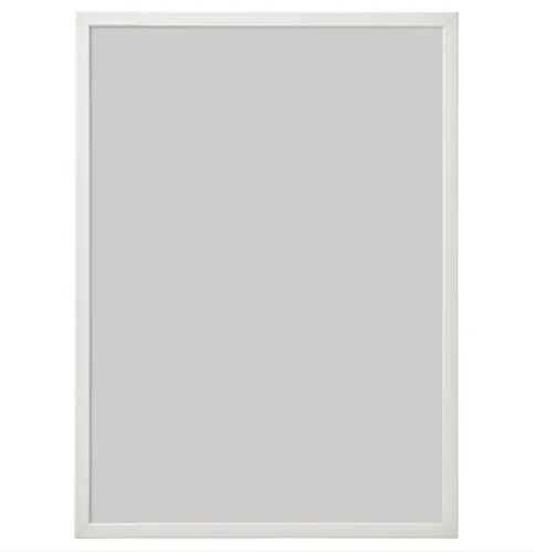 Large White Frame (27.5 x 19.5).