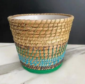 Woven Plant Pot with Green and Blue