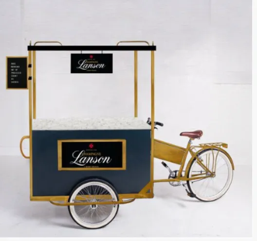 Tricycle with Canopy Bar