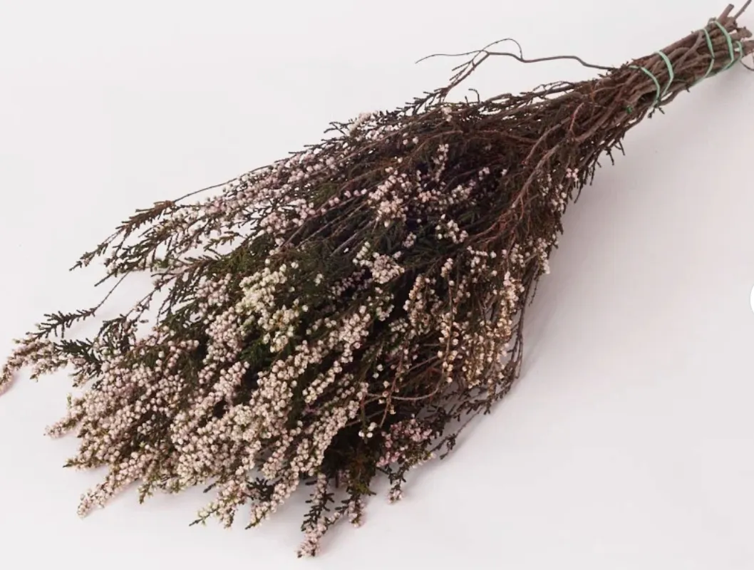 Preserved Heather
