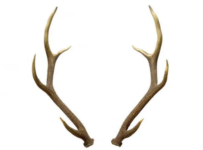Antlers