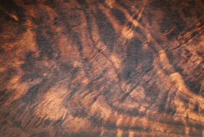 Exotic Hard Wood Background